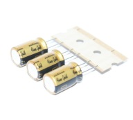 AUDIOFIL NICHICON FG Fine Gold 100uF/50V - 3 kusy (#654)