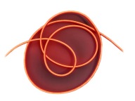 NEON LED FLEX uhol osvetlenia 360° 230V Červená 1m