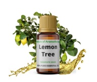 LEMON TREE olej osviežuje a dezinfikuje vzduch