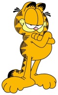 NÁLEPKA NA OKENNÉ SKLO ZRKADLO MAČKA GARFIELD KAT