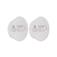 Filter Secura 3000,02 P2 R