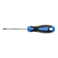 Torx skrutkovač T25x100 mm HT1S056 Hogert