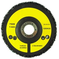KOTOUČ NA ODSTRAŇOVANIE HRDZE CS-RD 126x13x22 X CRS 3M