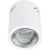 Prisadené stropné svietidlo SPOT LARGE TUBE LED E27 biele okrúhle 12cm