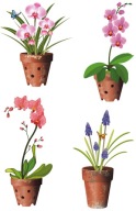 NÁLEPKY NA OKENNÉ ZRKADLOVÉ SKLO ORCHIDEJ KVETY