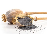 Modrý mak 250g