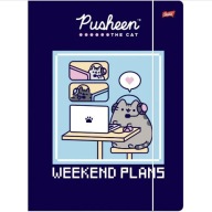 Pusheen školský skladačka A4 s gumičkou