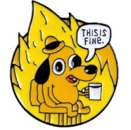 PIN METAL ODZNAK PES JE FINE THIS IS FINE MEM FIRE HOUSE FIRE