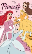 UTERÁK DO ŠKOLKY 30x50 DISNEY PRINCESS 02