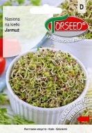 KALE semienka na klíčky 10g Torseed ODPORÚČAM
