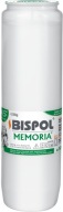 Vložka do olejovej sviečky BISPOL WO6 108h 1 ks