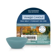 YANKEE CANDLE EVENING RIVERWALK vonný vosk 22g
