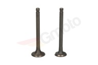 KING ŁOŚ ZIP 139FMB 4T 50cm3 SACÍ VENTIL VÝFUK.