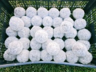 BOKASHI BALLS ČISTENIE VODY JAZERKÁ 1KS