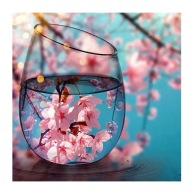 Sada na 5D diamantové maľby - Peach Blossom