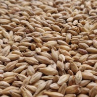 Údený slad 1kg Bestmalz - Nestrelený