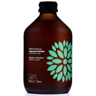Kombucha s uhorkou a koriandrom bez lepku 315 ml
