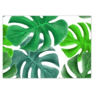 Samolepky A5 LEVEL Monstera Leaves Tropics