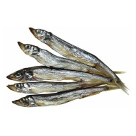 Huňáčik poľný 100g (SUCHÝ) 100g 0,1 kg