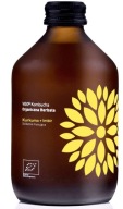 KOMBUCHA S KURKUMIOU A ZÁZVOROM BG BIO 330 ml - VIGO