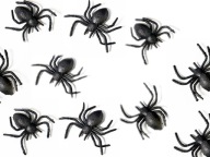 SPIDER HALLOWEEN SPIDERS 10 ks Bal