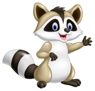 NÁLEPKA NA OKENNÝ NÁBYTOK ZRKADLOVÁ STENA RACOON
