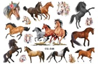 Odnímateľné tetovanie pre deti HORSES CG548