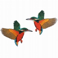 TERMO nažehľovačka Kingfishers Birds 2 ks