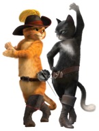 NÁLEPKA NA OKENNÉ SKLO ZRKADLO SHREK CAT MAČKA PAPIER