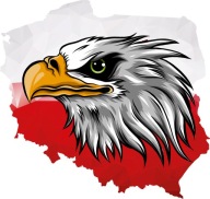 Auto NÁLEPKA auto POĽSKO Mapa Poľska ORZEŁ Eagle 15x14