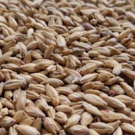 Melanoidín slad 1kg Bestmalz - nemletý