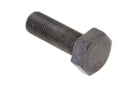 04171100030 Skrutka M10 x 1 x 30