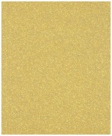 EXPERT BRÚSNE LISTY EXC470 230*280MM P100