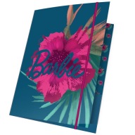 PASO BARBIE VYSIELANIE S GUMA A4 BAI-109