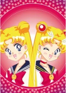 Plagát Bishoujo Senshi Sailor Moon bssm_020 A3