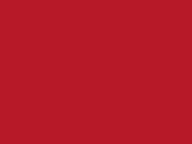 ABS hrana U17005 SD 43x2 mm Carmine Rehau (76961)