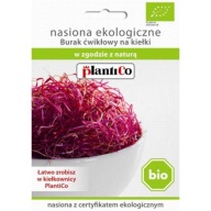 Bio semená klíčkov - Cvikla 20g