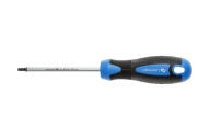 Skrutkovač Torx T20, 100 mm, oceľ S2 Hogert