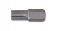 KĽÚČOVÉ KONCOVÉ BITOVÉ BITKY 10 MM RIBE BETA SHORT M 6