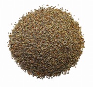Mak záhradný modrý ópiový - semená - 100g