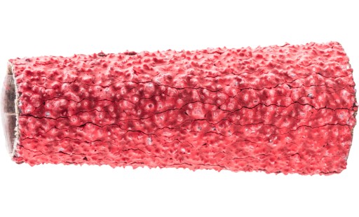 CO-Cool brúsny pás 20x63mm K 36 Pferd