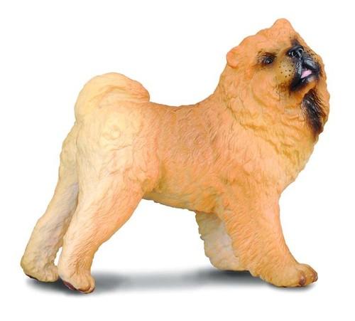 Pes Chow Chow Collecta