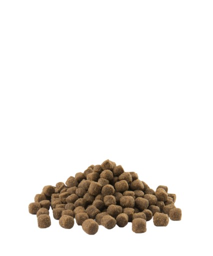 VERSELE LAGA OPTI LIFE MINI KURČA 1KG HMOTNOSTI