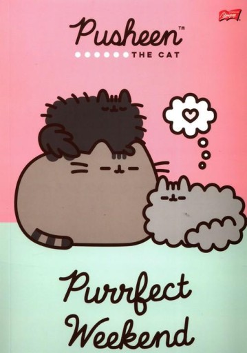 Pusheen zložka A4 s gumičkou St. Majewski