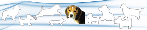 Formička DOG 8,5 cm Škótsky ovčiak (pes psov)
