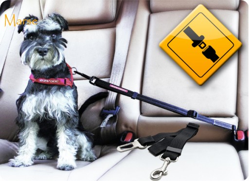 BEZPEČNOSTNÉ PÁSY AUTO VODÍTKO PRE PSOV