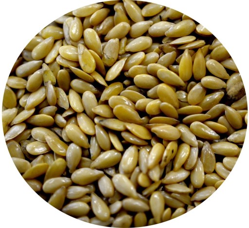 GOLDEN LINEN 1000g zlaté ľanové semienko