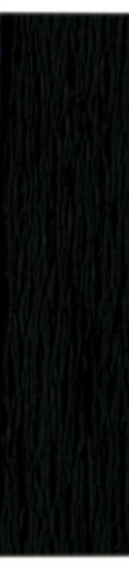 BLACK CRIPPED Tissue Paper INTERPRINT