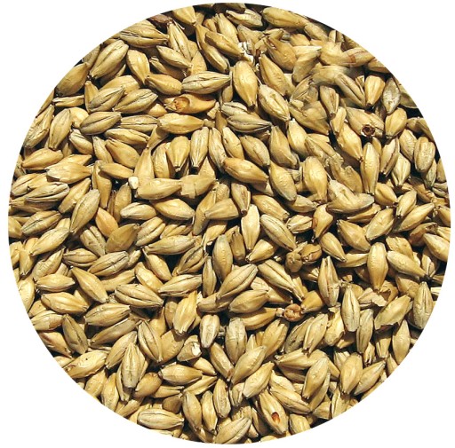 PILZ slad Viking Malt 1kg