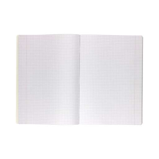 A4/60 Bantex Budget grid notebook